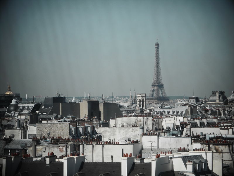 Paryż z perspektywy nosa