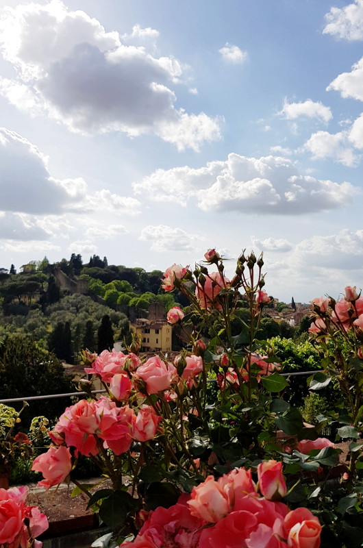 Florencja ogród różany