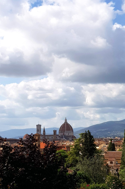 Florencja panorama